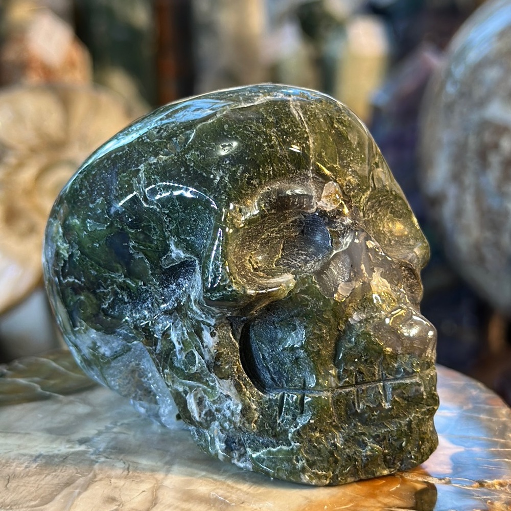 🌸SALE🌸 Moss Agate Crystal Skull Carving With Druzy!
